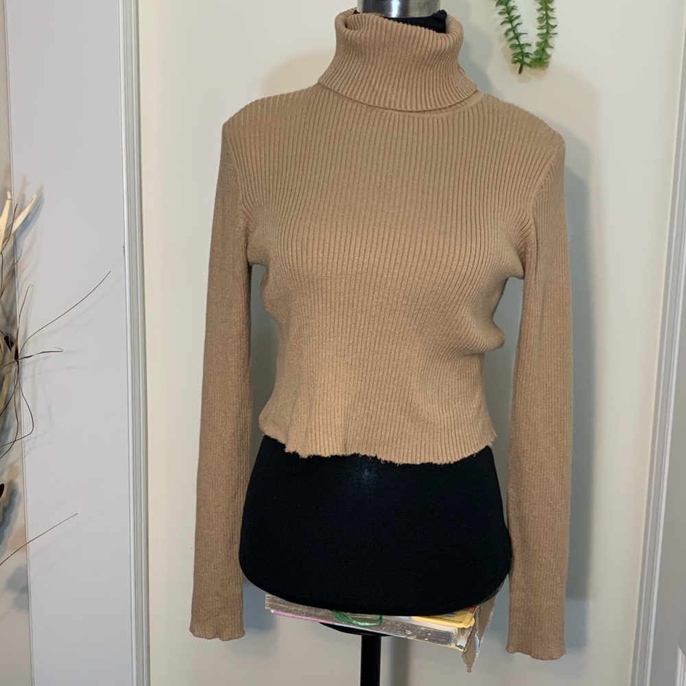 Joseph A Fall Chic Turtleneck Knit LongSleeve Top